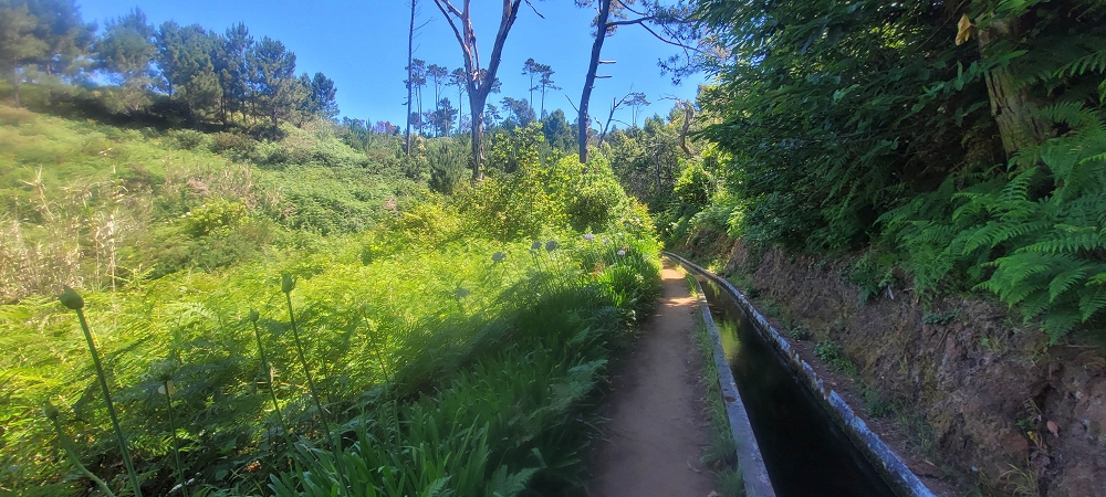 Levada Nova — Weiter bis zum Levadahaus — Foto 4