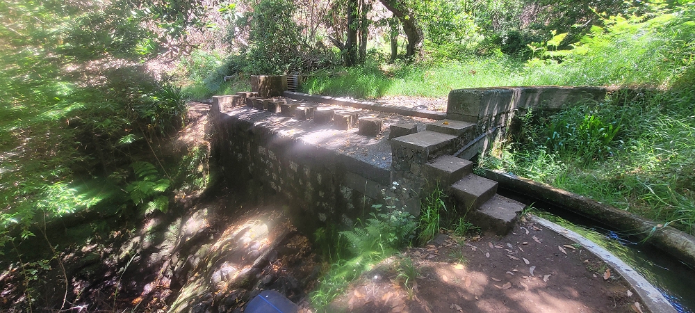 Levada Nova — Weiter bis zum Levadahaus — Foto 5