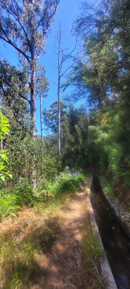 17.06.2024 Auf der Levada Nova von Estreito da Calheta nach Prazeres — Zurück zum Ausgangspunkt — Foto 1