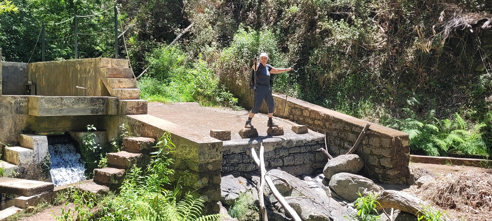 17.06.2024 Auf der Levada Nova von Estreito da Calheta nach Prazeres — Zurück zum Ausgangspunkt — Foto 2