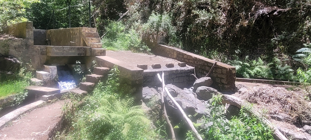 17.06.2024 Auf der Levada Nova von Estreito da Calheta nach Prazeres — Zurück zum Ausgangspunkt — Foto 4