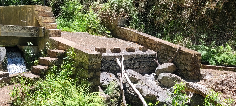 17.06.2024 Auf der Levada Nova von Estreito da Calheta nach Prazeres — Zurück zum Ausgangspunkt — Foto 5