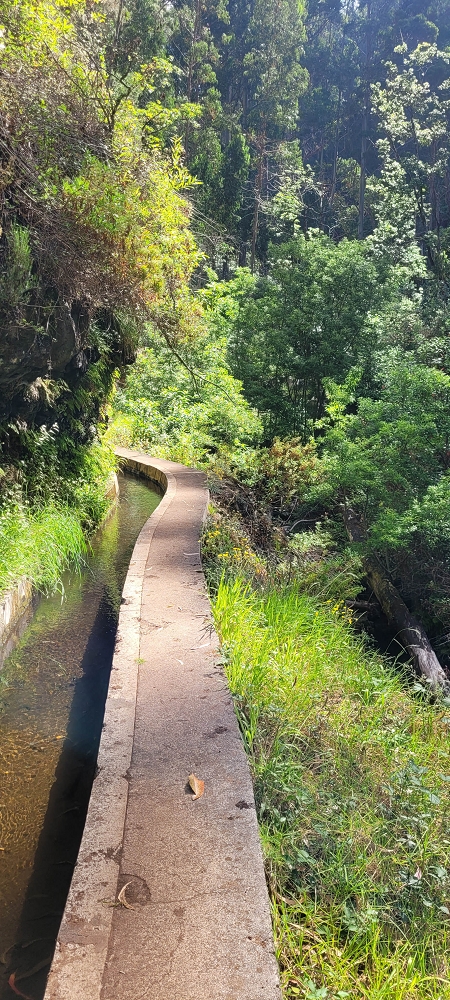 Levada Nova — Bis zur Kreuzung mit der ER210 — Foto 2