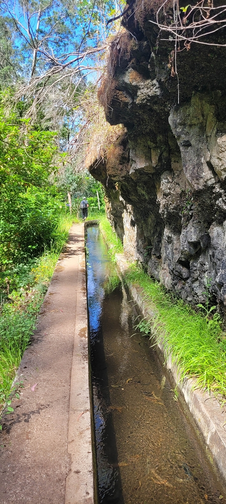 Levada Nova — Bis zur Kreuzung mit der ER210 — Foto 3