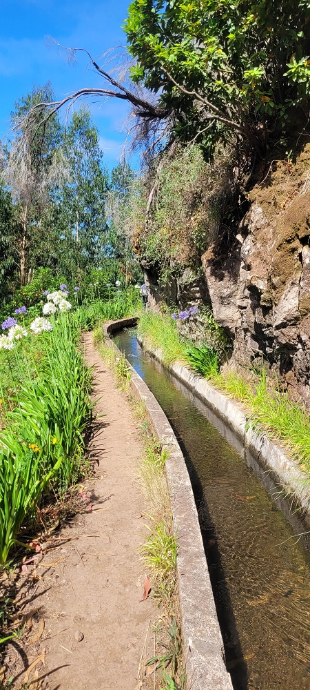 Levada Nova — Bis zur Kreuzung mit der ER210 — Foto 4