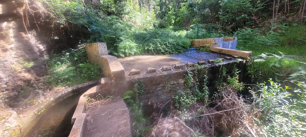 Levada Nova — Bis zur Kreuzung mit der ER210 — Foto 5