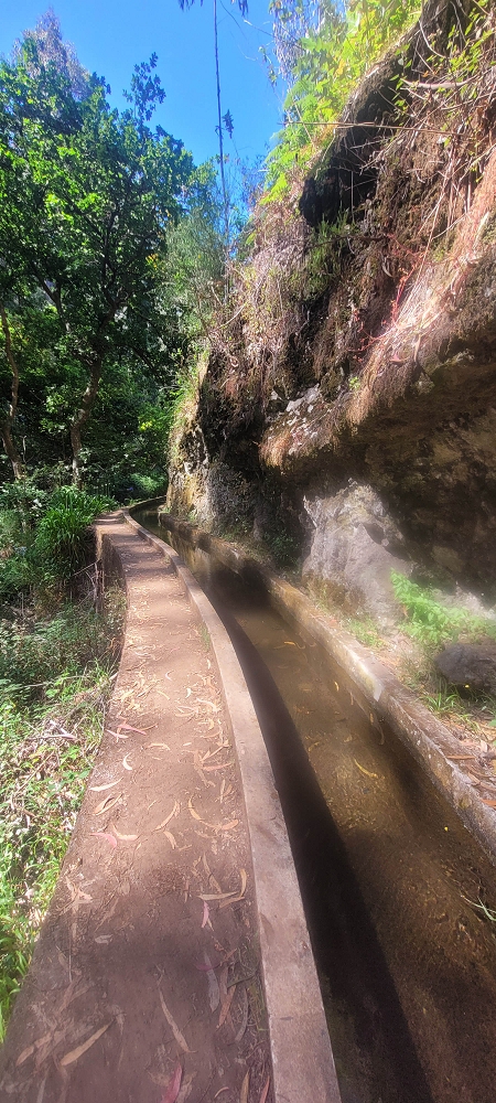 Levada Nova — Bis zur Kreuzung mit der ER210 — Foto 6