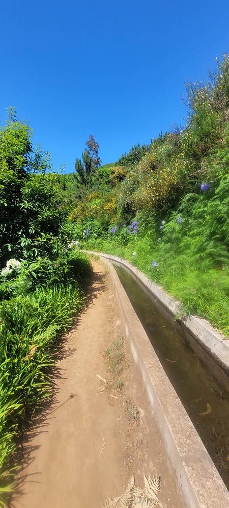 Levada Nova — Bis zur Kreuzung mit der ER210 — Foto 7