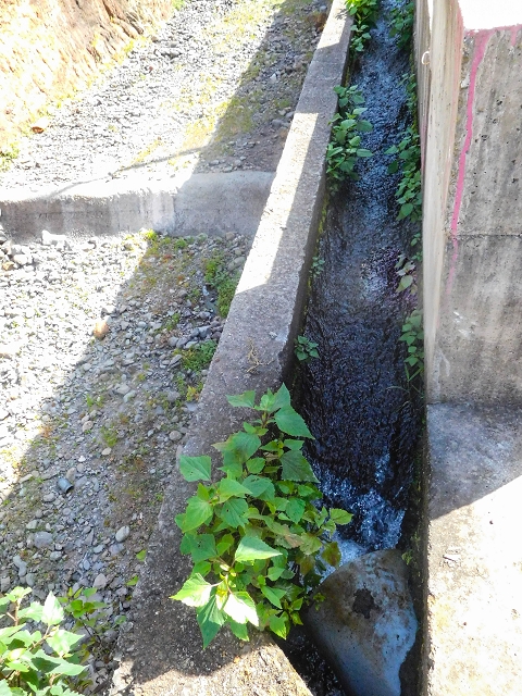 17 de agosto de 2017 3 levadas no vale inferior de Tabua — Início da Levada da Corujeira e o cruzamento da estrada — foto 6