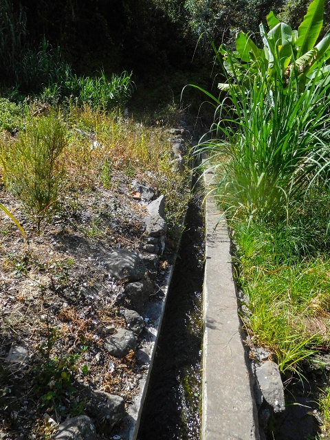 17 de agosto de 2017 3 levadas no vale inferior de Tabua — Início da Levada da Corujeira e o cruzamento da estrada — foto 8