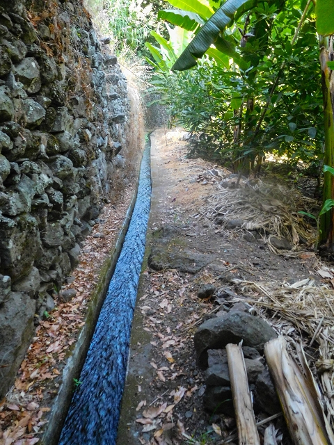 17 de agosto de 2017 3 levadas no vale inferior de Tabua — Para o troço pelos campos que não se pode percorrer — foto 2