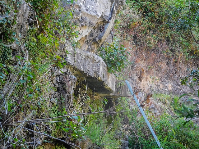 17 de agosto de 2017 3 levadas no vale inferior de Tabua — A parte que não se pode percorrer — foto 5