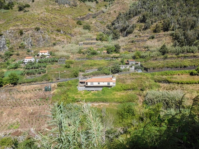 17 de agosto de 2017 3 levadas no vale inferior de Tabua — Com boas vistas até ao pequeno povoado — foto 2