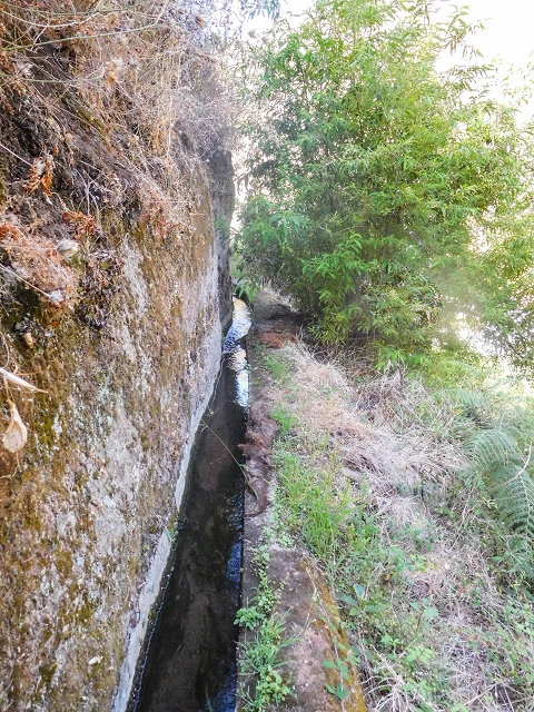 17 de agosto de 2017 3 levadas no vale inferior de Tabua — Com boas vistas até ao pequeno povoado — foto 3