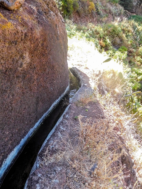 17 de agosto de 2017 3 levadas no vale inferior de Tabua — Com boas vistas até ao pequeno povoado — foto 10