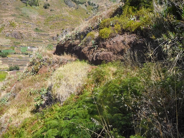 17 de agosto de 2017 3 levadas no vale inferior de Tabua — Com boas vistas até ao pequeno povoado — foto 11