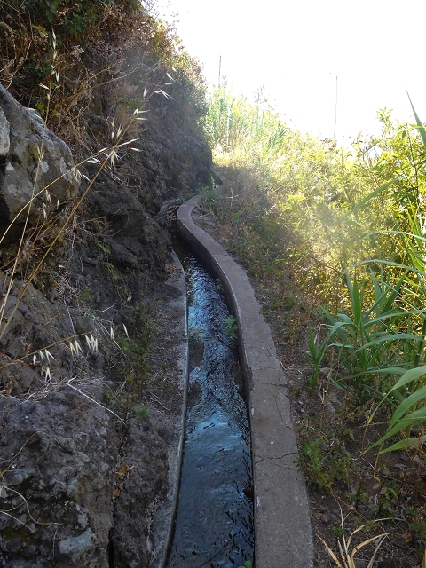 17 de agosto de 2017 3 levadas no vale inferior de Tabua — Com boas vistas até ao pequeno povoado — foto 19