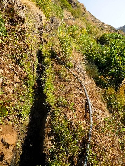 17 de agosto de 2017 3 levadas no vale inferior de Tabua — Do fim, bem caminhável até perto da estrada — foto 4