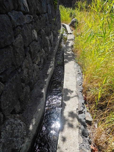 17 de agosto de 2017 3 levadas no vale inferior de Tabua — Em parte coberto de vegetação, em parte sobre pontes, até Corujeira — foto 3