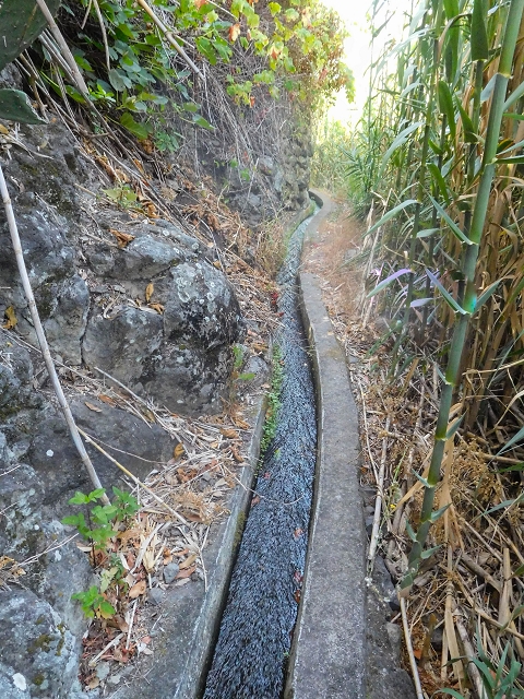 17 de agosto de 2017 3 levadas no vale inferior de Tabua — Em parte coberto de vegetação, em parte sobre pontes, até Corujeira — foto 8
