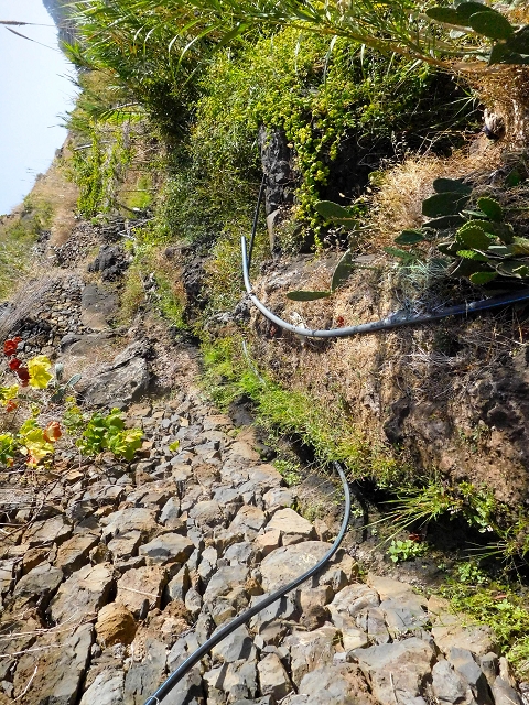 Levada das Voltas — Das unspektakuläre Ende — Foto 3