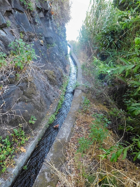 17 de agosto de 2017 3 levadas no vale inferior de Tabua — Em parte coberto de vegetação, em parte sobre pontes, até Corujeira — foto 9