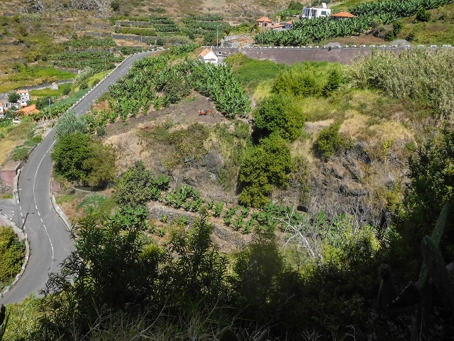 17 de agosto de 2017 3 levadas no vale inferior de Tabua — Em parte coberto de vegetação, em parte sobre pontes, até Corujeira — foto 11