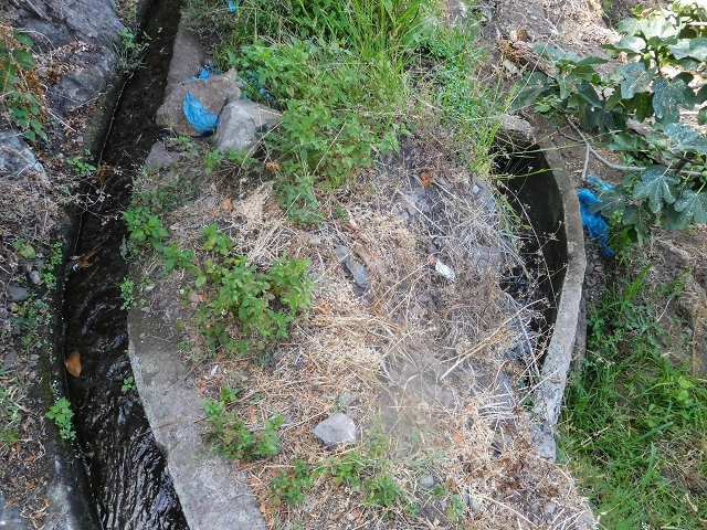 17 de agosto de 2017 3 levadas no vale inferior de Tabua — Em parte coberto de vegetação, em parte sobre pontes, até Corujeira — foto 13