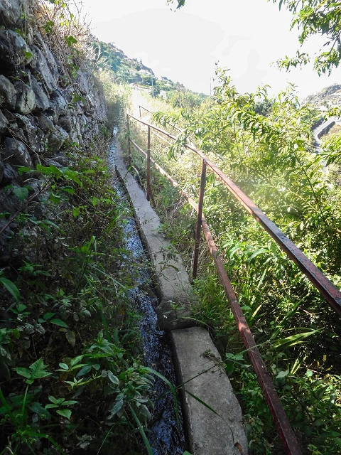 17 de agosto de 2017 3 levadas no vale inferior de Tabua — Em parte coberto de vegetação, em parte sobre pontes, até Corujeira — foto 21