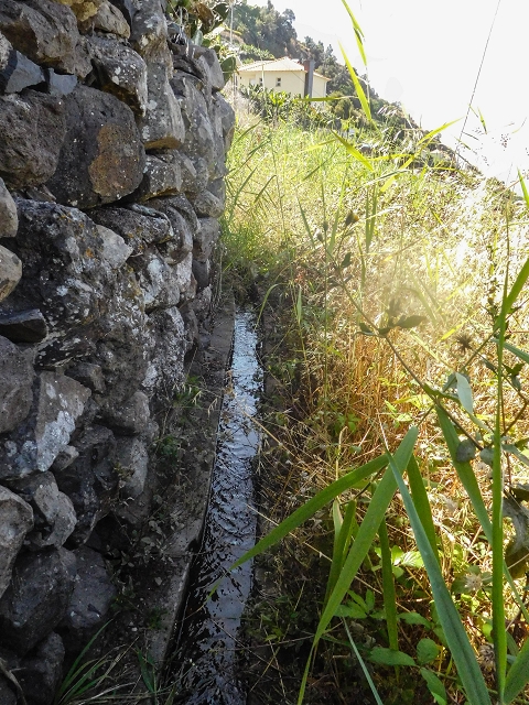 17 de agosto de 2017 3 levadas no vale inferior de Tabua — Em parte coberto de vegetação, em parte sobre pontes, até Corujeira — foto 22