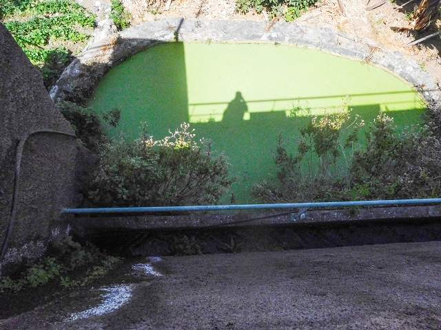 17 de agosto de 2017 3 levadas no vale inferior de Tabua — Os últimos metros em Corujeira e o reservatório — foto 3