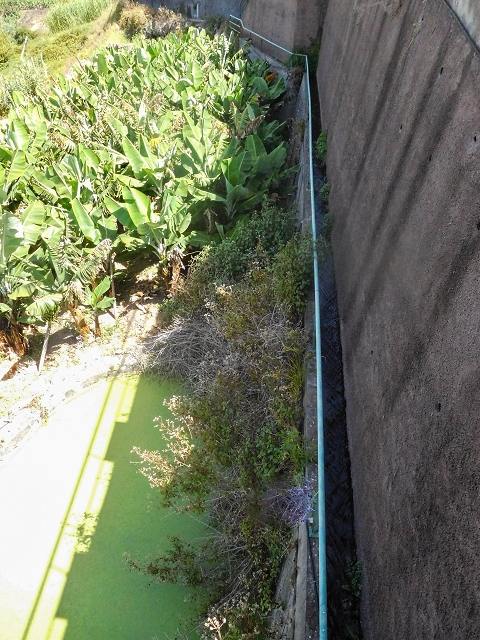 17 de agosto de 2017 3 levadas no vale inferior de Tabua — Os últimos metros em Corujeira e o reservatório — foto 4
