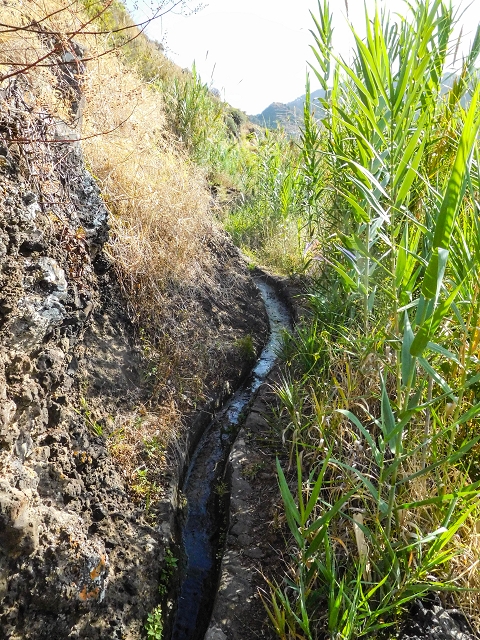 Levada das Voltas — Das unspektakuläre Ende — Foto 1