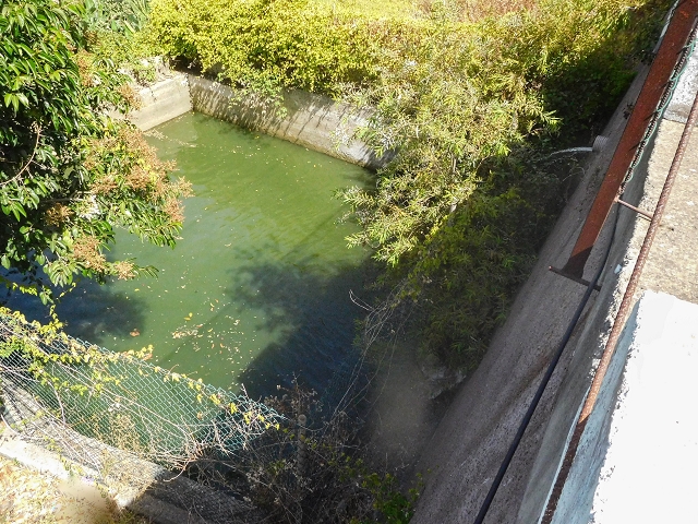 17 de agosto de 2017 3 levadas no vale inferior de Tabua — Os últimos metros em Corujeira e o reservatório — foto 11
