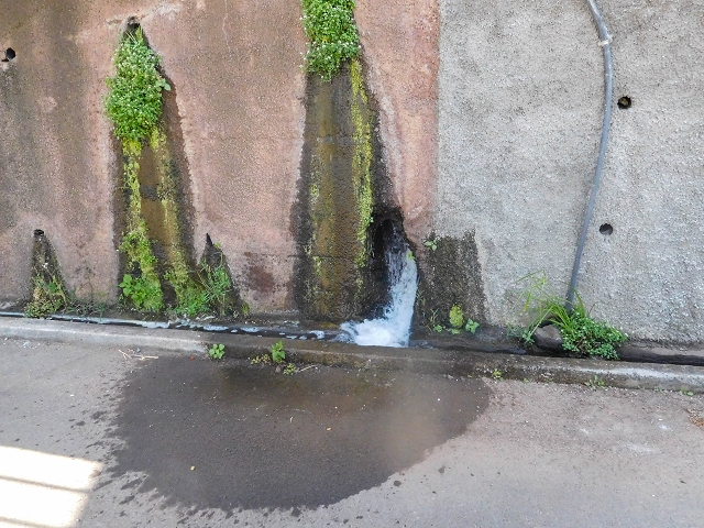 17 de agosto de 2017 3 levadas no vale inferior de Tabua — Ramo terminal da Levada Nova — foto 1