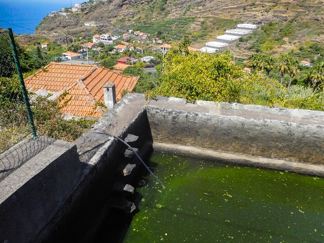 17 de agosto de 2017 3 levadas no vale inferior de Tabua — Ramo terminal da Levada Nova — foto 2