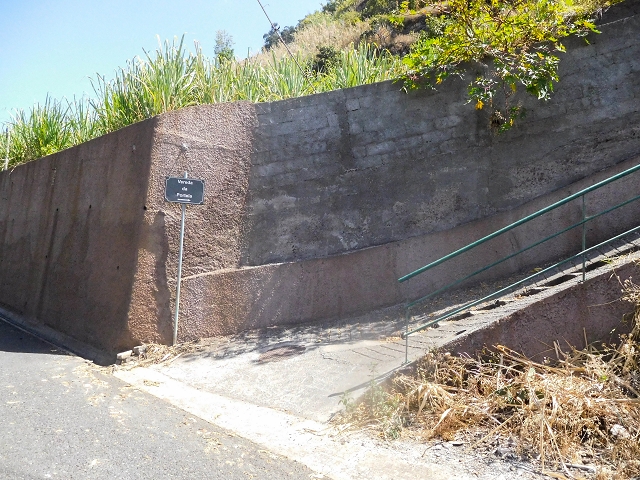 17 de agosto de 2017 3 levadas no vale inferior de Tabua — Subida à Levada Nova — foto 2