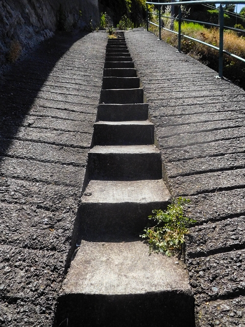 17 de agosto de 2017 3 levadas no vale inferior de Tabua — Subida à Levada Nova — foto 3