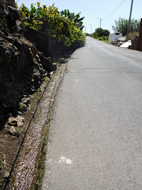 17 de agosto de 2017 3 levadas no vale inferior de Tabua — Subida à Levada Nova — foto 4