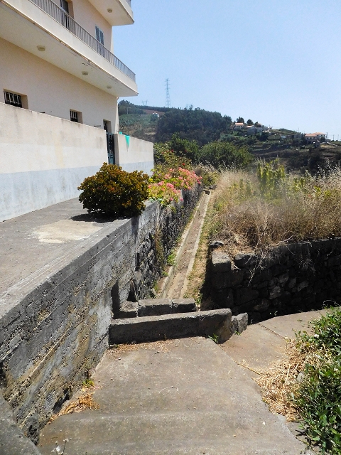 17 de agosto de 2017 3 levadas no vale inferior de Tabua — Subida à Levada Nova — foto 6