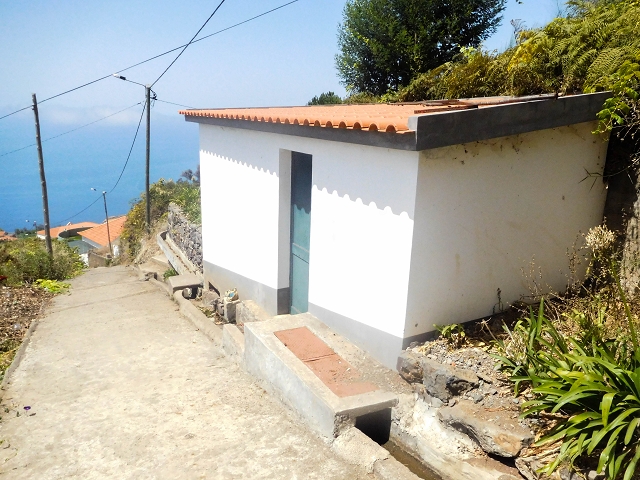 17 de agosto de 2017 3 levadas no vale inferior de Tabua — Subida à Levada Nova — foto 7