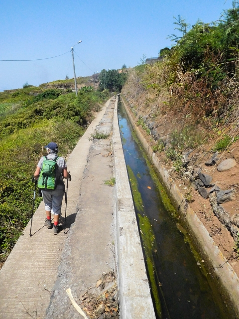 17 de agosto de 2017 3 levadas no vale inferior de Tabua — Na Levada Nova até à obra da ribeira em Tabua — foto 1