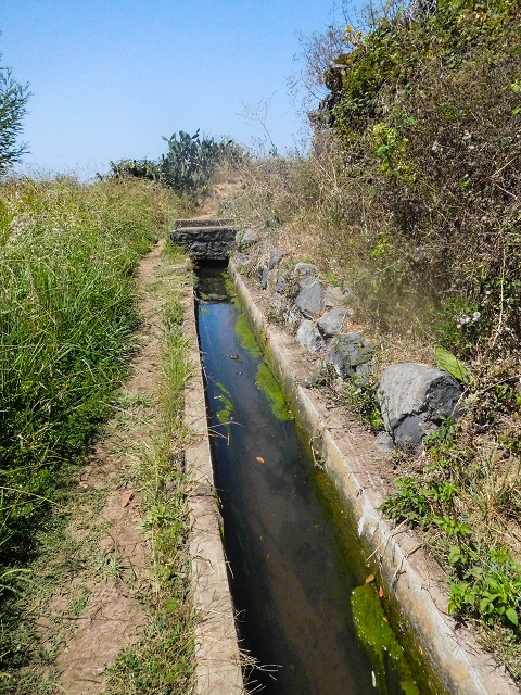 17 de agosto de 2017 3 levadas no vale inferior de Tabua — Na Levada Nova até à obra da ribeira em Tabua — foto 2