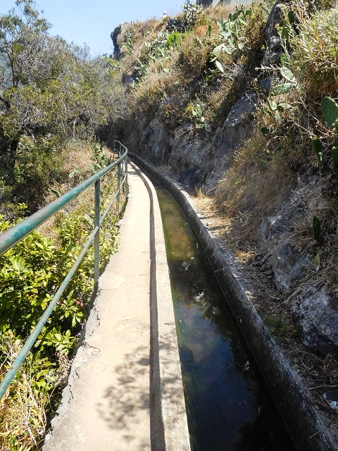 17 de agosto de 2017 3 levadas no vale inferior de Tabua — Na Levada Nova até à obra da ribeira em Tabua — foto 3