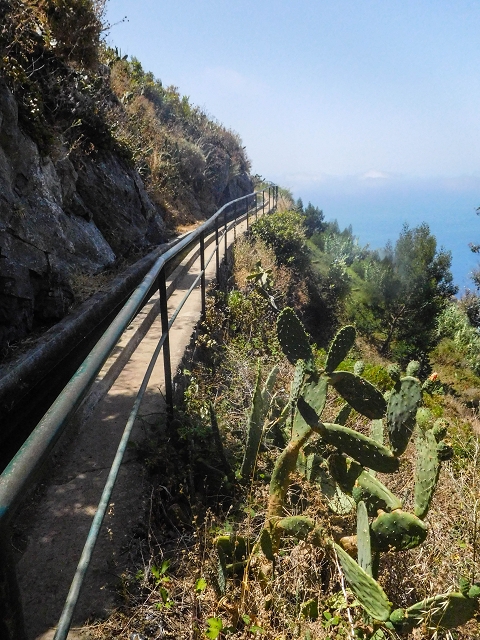 17 de agosto de 2017 3 levadas no vale inferior de Tabua — Na Levada Nova até à obra da ribeira em Tabua — foto 4