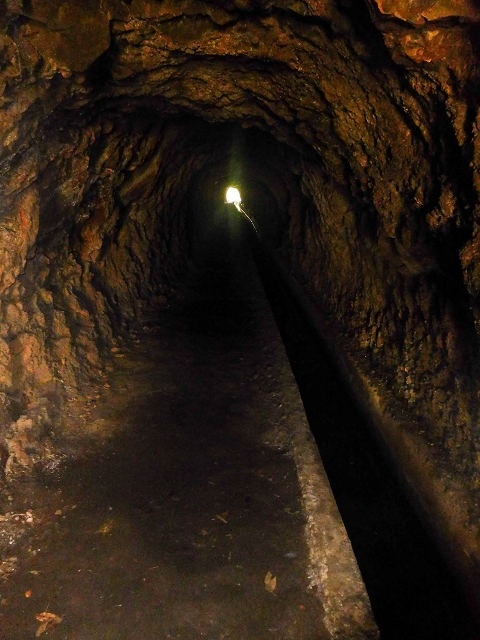 17 de agosto de 2017 3 levadas no vale inferior de Tabua — Na Levada Nova até à obra da ribeira em Tabua — foto 7