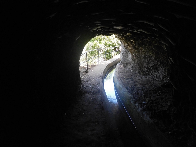 17 de agosto de 2017 3 levadas no vale inferior de Tabua — Na Levada Nova até à obra da ribeira em Tabua — foto 8
