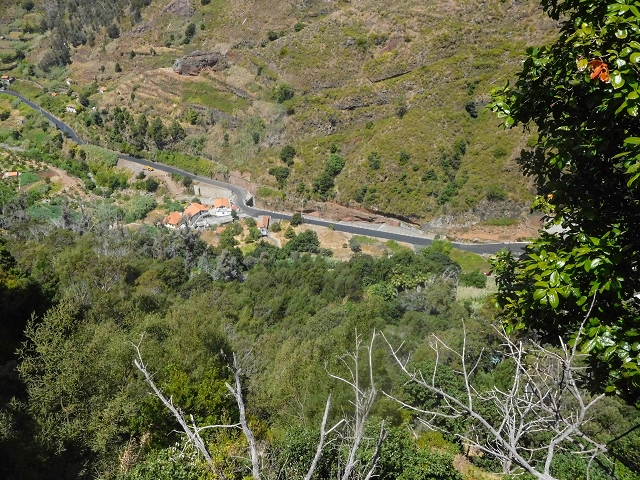 17 de agosto de 2017 3 levadas no vale inferior de Tabua — Na Levada Nova até à obra da ribeira em Tabua — foto 9