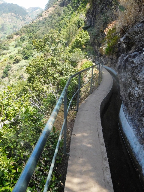 17 de agosto de 2017 3 levadas no vale inferior de Tabua — Na Levada Nova até à obra da ribeira em Tabua — foto 10