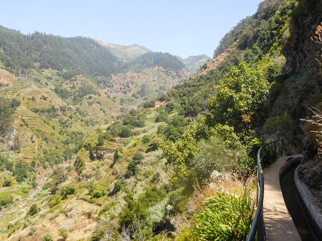 17 de agosto de 2017 3 levadas no vale inferior de Tabua — Na Levada Nova até à obra da ribeira em Tabua — foto 12